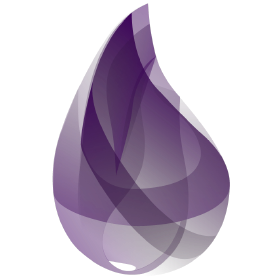 Elixir Thin Client SDK